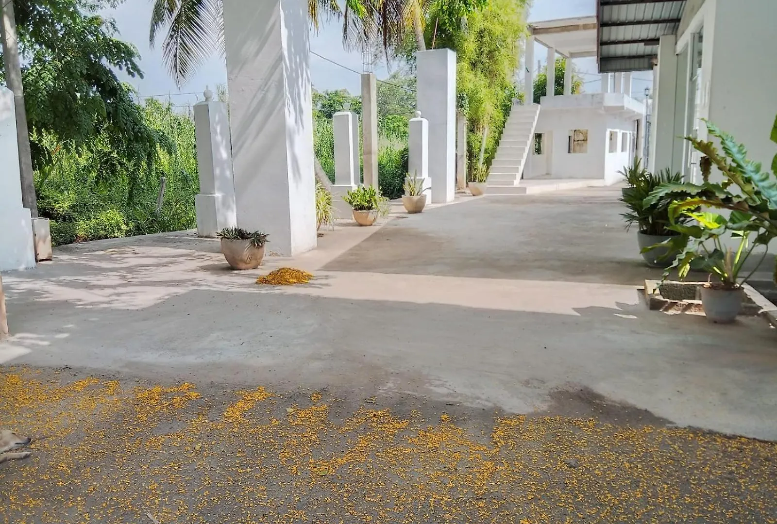 Riverside Hotel Katunayake Sri Lanka